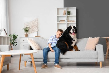 Bernese dağ köpeğiyle evdeki kanepede oturan küçük çocuk.