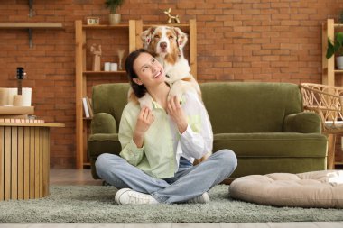 Güzel genç bir bayan halının üzerinde oturuyor. Evde şirin bir Avustralya çoban köpeği var.
