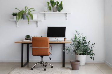 Çalışma alanı, raflar ve yeşil ev bitkileriyle birlikte ofis içi