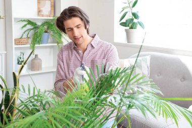 Handsome man watering palm tree at home
