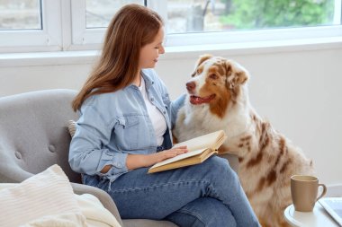 Evde sevimli bir Avustralya çoban köpeği olan genç bir kadın kitap okuyor.