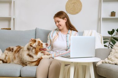 Şirin bir Avustralya çoban köpeği ve dizüstü bilgisayarı olan genç bir kadın evdeki kanepede oturuyor.