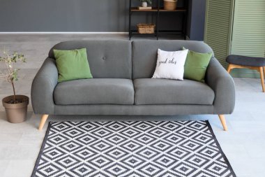 Oturma odasında rahat bir kanepe ve halı.