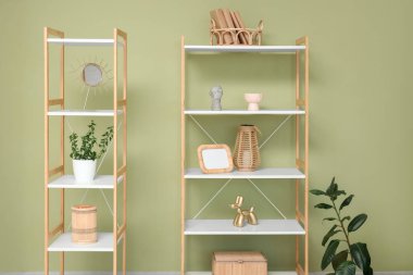 Oturma odasındaki yeşil duvarın yanında ev bitkisi ve farklı dekor bulunan raflar.