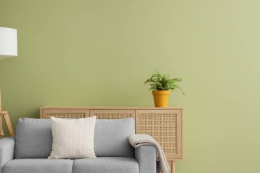 Ev bitkisi ve klozetli şık gri kanepe yeşil duvarın yanında.