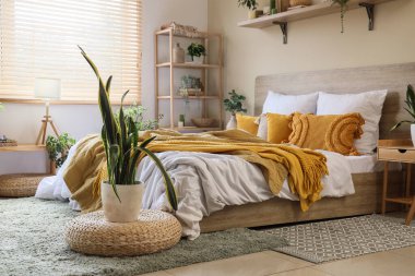 Rahat yatağı, raf ünitesi ve bitkileri olan rahat bir yatak odası.