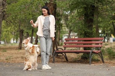 Tatlı Avustralyalı çoban köpeğini parkta eğiten genç ve güzel bir kadın.