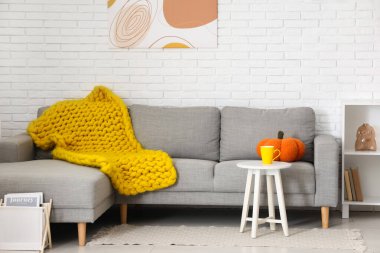 Modern oturma odasının içinde şık gri kanepe, oyuncak balkabağı ve sarı ekose örgü.