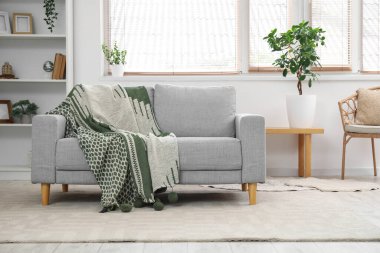 Ekoseli rahat kanepe, raf ünitesi ve oturma odasının iç tarafındaki çiçekleri.