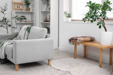 Oturma odasındaki bankta, raflarda ve kanepede.