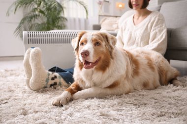Avustralya çoban köpeği olan genç bir kadın ısıtıcının yanında yerde oturuyor.