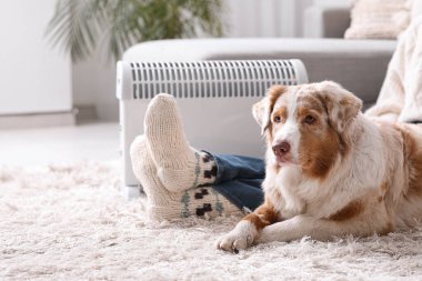 Avustralya çoban köpeği olan genç bir kadın ısıtıcının yanında yerde oturuyor.
