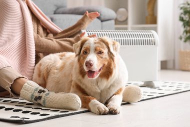 Battaniyeli genç bir kadın ve Avustralyalı çoban köpeği ısıtıcının yanında oturuyorlar.