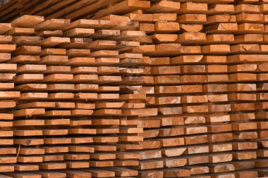 Bıçkıhanede istiflenmiş ahşap kalaslar.