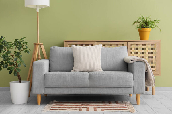 Interior of stylish room with grey sofa, houseplants and commode near green wall