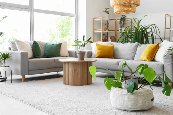 Yeşil bitkilerle, kanepelerle ve masalarla aydınlık oturma odasının içinde.