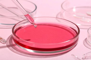 Pembe arka planda numune ve pipetli Petri kabı