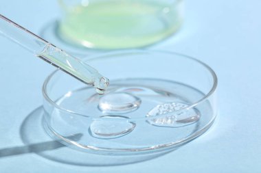 Mavi arka planda numune ve pipet bulunan petri kapları