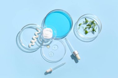 Farklı örnekler içeren petri kapları, mavi arka planda pipetler ve lahanalar.