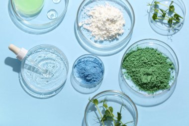 Farklı örnekler içeren petri kapları, lahanalar ve mavi arka planda pipetler.