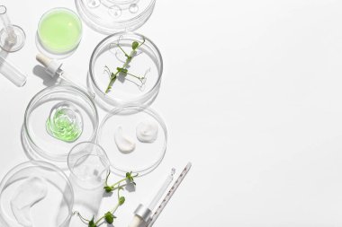 Farklı örnekleri olan bakteri kapları, beyaz arka planda profesyonel cam kaplar ve lahanalar.