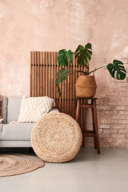 Oturma odasının iç tarafında rahat bir kanepe, puf ve bitkiler var.