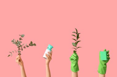 Deterjan şişesi, sünger ve pembe arka planda bitki dalları olan lastik eldivenli kadın eller.