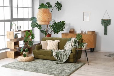 Oturma odasının içi rahat kanepe ve Monstera bitkileriyle dolu.