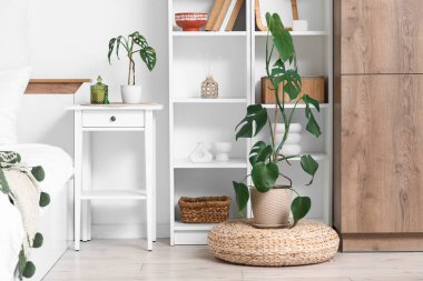 Raflar, komodin ve yatak odasında Monstera bitkileri.