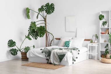 Modern yatak odasının içinde Monstera bitkileri var.