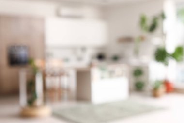 Monstera ev bitkileriyle modern mutfağın içinde. Bulanık görünüm