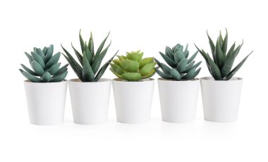 Beyaz arkaplanda yapay sulandırmalar