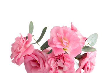 Güzel pembe Eustoma çiçekleri ve beyaz arka planda okaliptüs.