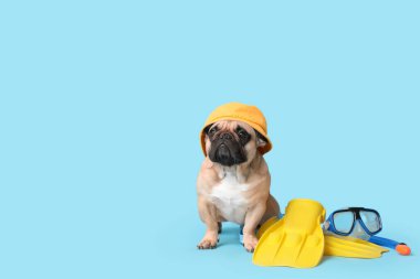 Mavi arka planda şapkası, paletleri ve dalış maskesi olan sevimli Fransız bulldog 'u.