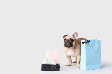 Beyaz arka planda parası olan, yay, alışveriş torbaları ve cüzdanı olan sevimli bir Fransız bulldog.