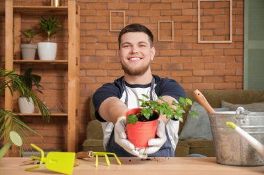 Genç yakışıklı adam odada bitki naklediyor.