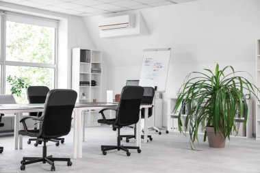 Masası, koltukları, raf ünitesi ve saksısı olan ışık konferans salonu.