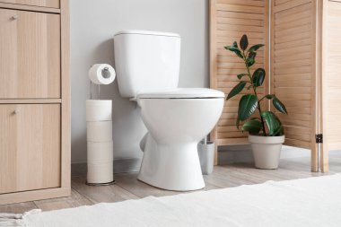 Gri duvarın yanında tuvalet, bitki ve kağıt tutacağı olan tuvaletin içinde.