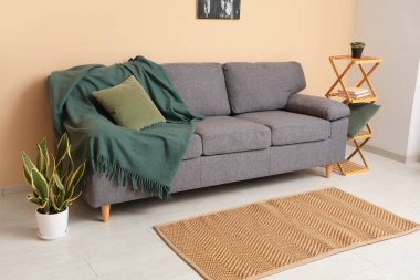 Rafların yanında ekose ve yastıklı rahat bir kanepe ve oturma odasında saksı.