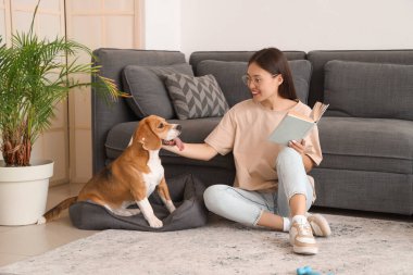 Genç bir kadın kitap okuyor ve oturma odasında yerde sevimli bir tazı köpeğiyle oturuyor.