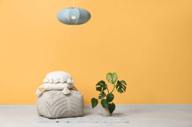 Ev bitkisi, puf ve asılı lamba olan şık bir oturma odası.