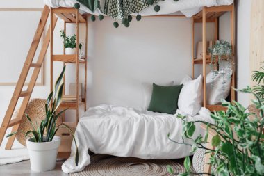 İçinde ranza ve bitkiler olan hafif çocuk odası.