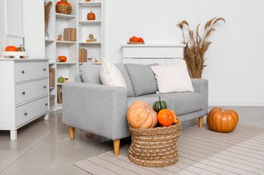 Oturma odasının içi gri kanepe, raflar ve farklı balkabaklarıyla dolu sepetlerle dolu.