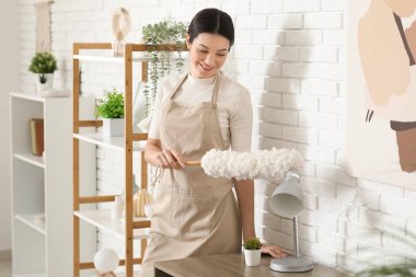 Evinde pp-toz olan genç bir kadın temizlik odasında.