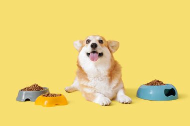 Sarı arka planda duran kuru yiyecek kâseleriyle şirin Corgi köpeği.