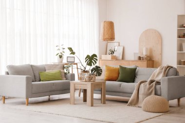Gri kanepeler, masa ve Monstera bitkileriyle aydınlık oturma odasının içinde.