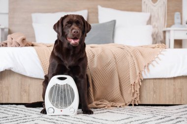 Yatak odasındaki halının üzerinde elektrikli fan ısıtıcısı olan şirin Labrador köpeği.