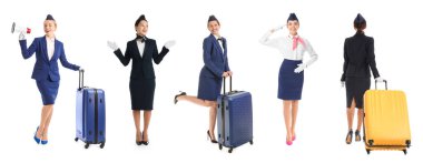 Beyaz arka planda güzel hostesler.