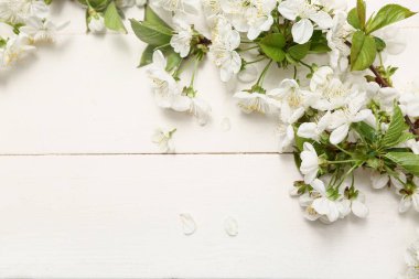 Güzel çiçek açan bir dal ve beyaz ahşap arka planda taç yaprakları