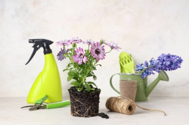 Masaya çiçek dikme ve bahçe aletleri ile beyaz arkaplan karşı kompozisyon